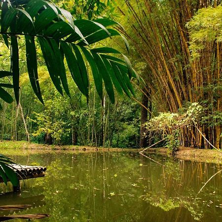 Reserva Biologica Caoba Bonda エクステリア 写真
