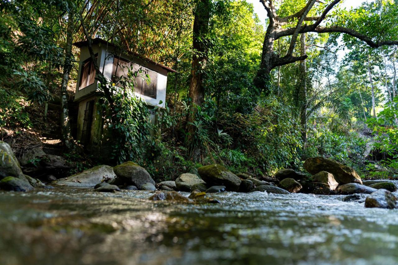 Reserva Biologica Caoba Bonda エクステリア 写真