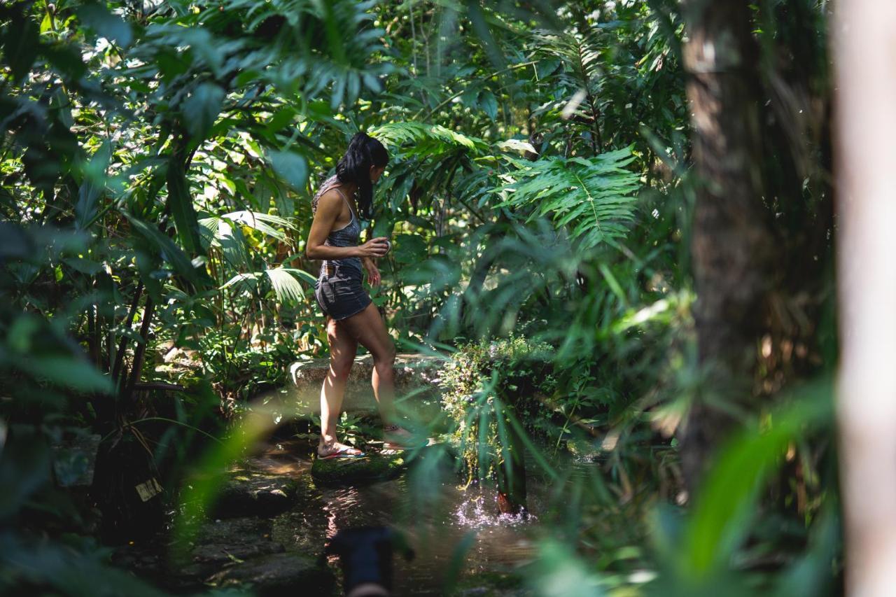 Reserva Biologica Caoba Bonda エクステリア 写真
