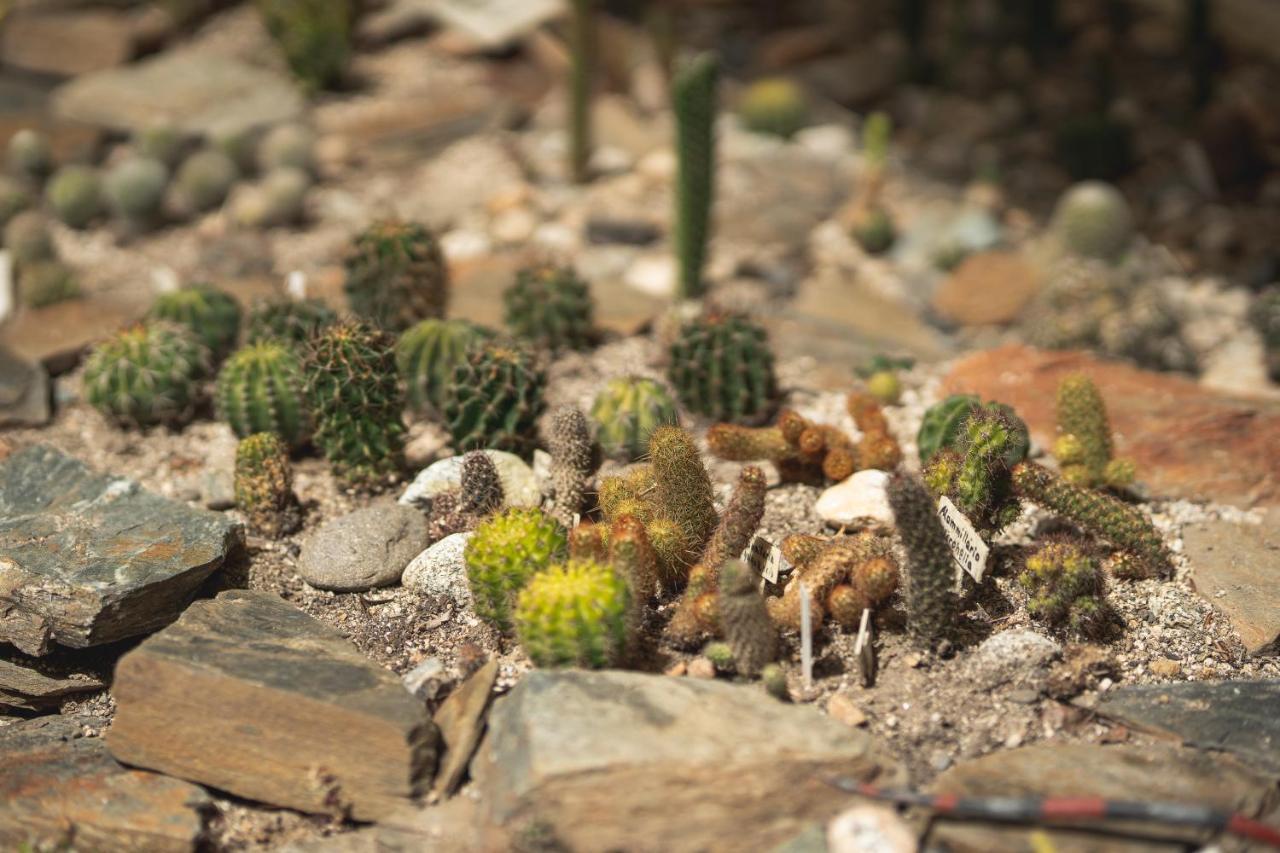 Reserva Biologica Caoba Bonda エクステリア 写真