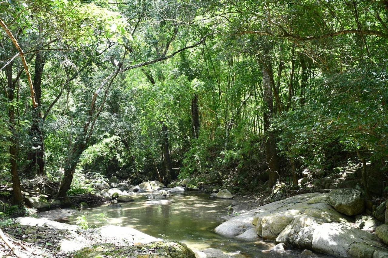 Reserva Biologica Caoba Bonda エクステリア 写真