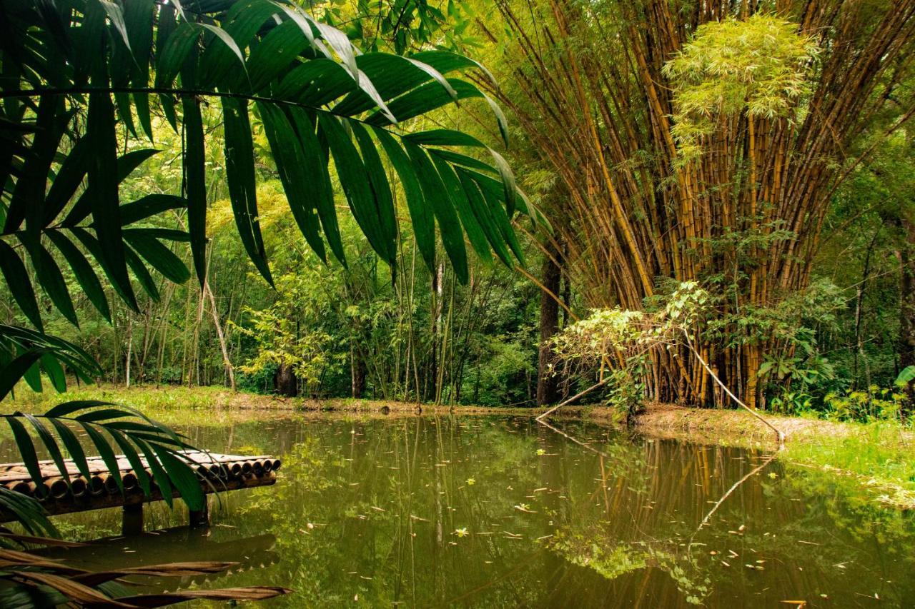 Reserva Biologica Caoba Bonda エクステリア 写真